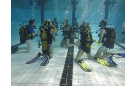 Réouverture de la piscine !!